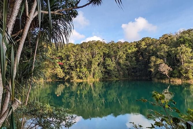 Full-day Tour at the Atherton Tablelands with Food Tasting - Why the Atherton Tablelands makes a strong day trip from Cairns