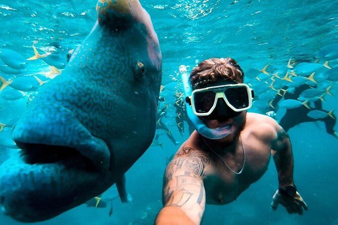 Full-Day Whitsunday Sail and Snorkel Adventure with Lunch - The crew shapes the mood