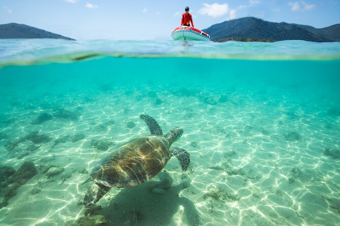 Full-Day Whitsunday Sail and Snorkel Adventure with Lunch - The long sail is the main decision point