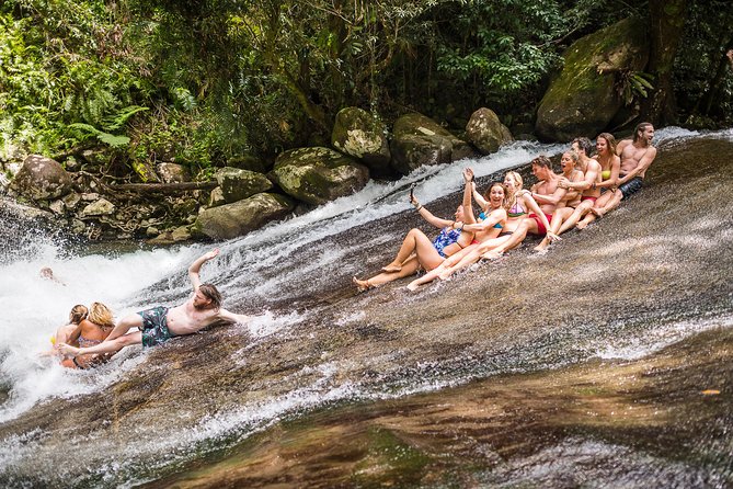 Fun, Falls and Forests Day Trip from Cairns - Key points at a glance
