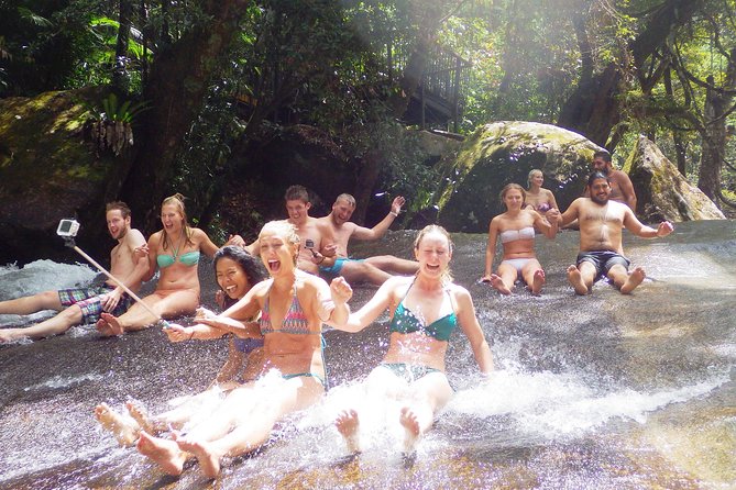 Fun, Falls and Forests Day Trip from Cairns - Millaa Millaa Falls: the classic waterfall stop