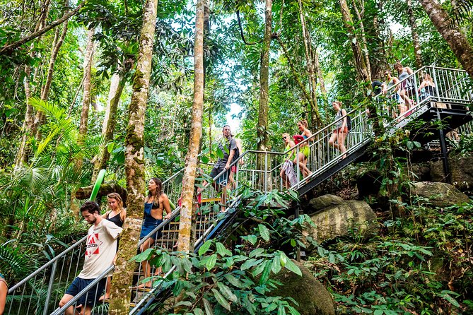 Fun, Falls and Forests Day Trip from Cairns - Lake Eacham and the volcanic story