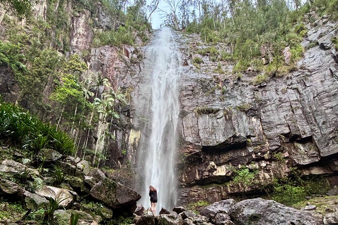 Glow-worms, Waterfalls & Rainforest Experience - Waterfalls, lookout views, and rainforest air