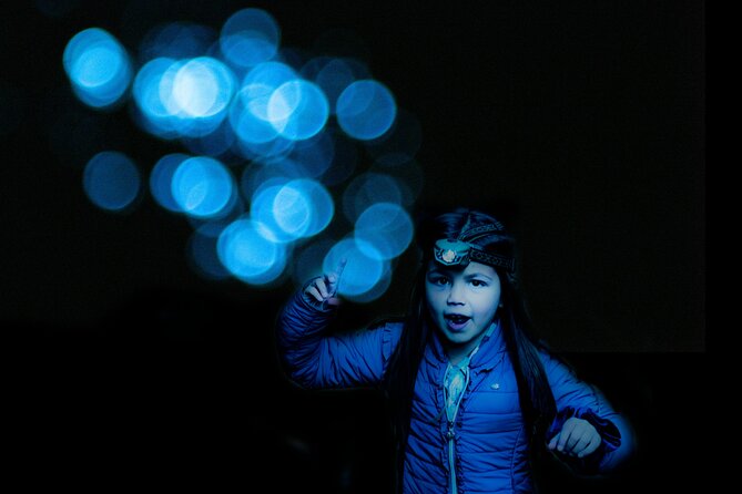 Glow-worms, Waterfalls & Rainforest Experience - Searching for glowworms after dark