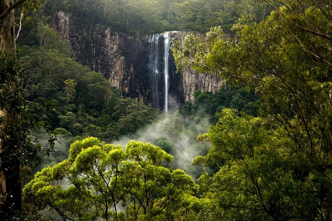 Glow-worms, Waterfalls & Rainforest Experience - Guides who make the outing personal