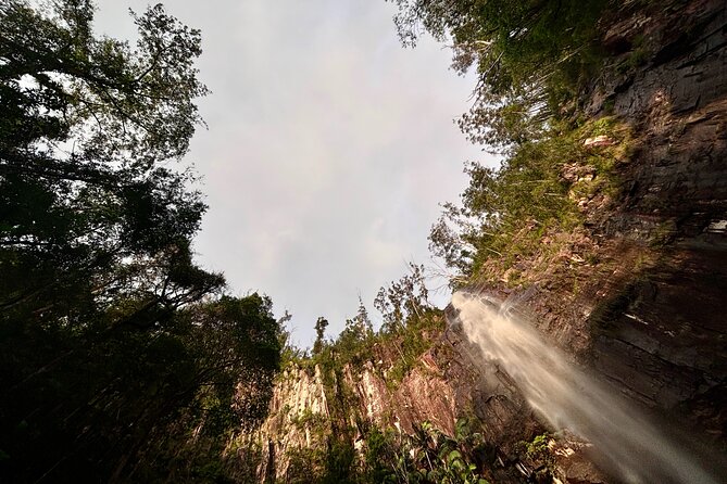 Glow-worms, Waterfalls & Rainforest Experience - Who will enjoy this most?