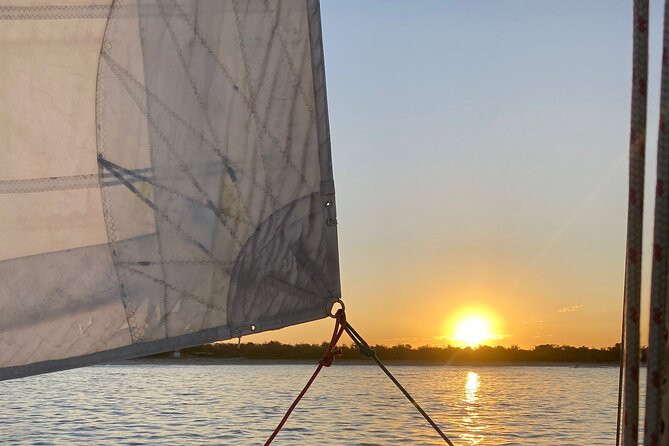 Gold Coast 2 hour Sunset Sailing Cruise with Drinks&Tasting Plate - Dolphins, sea turtles, and realistic wildlife expectations