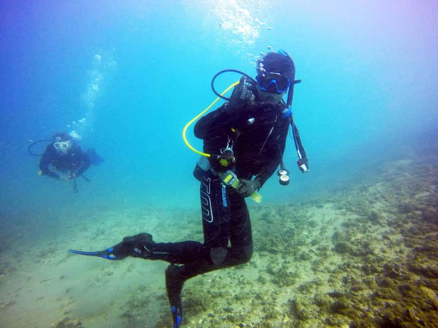 Gold Coast: 3-Day PADI Open Water Course - What you are really buying for AUD 315