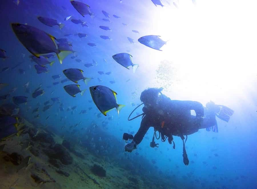 Gold Coast: 3-Day PADI Open Water Course - The 18-metre limit and what the certification means