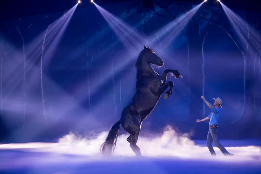 Gold Coast: Australian Outback Spectacular Dinner & Show - Key points to know before booking