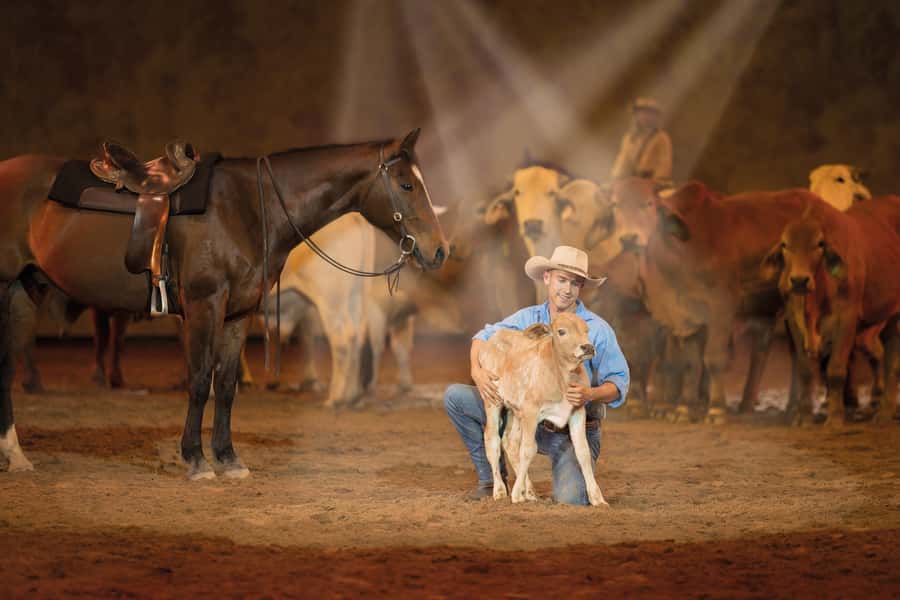 Gold Coast: Australian Outback Spectacular Dinner & Show - Is the $84 price good value?
