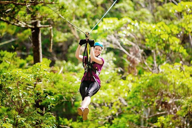 Gold Coast Canyon Flyer Zipline Tour - Canyon Flyer highlights at a glance