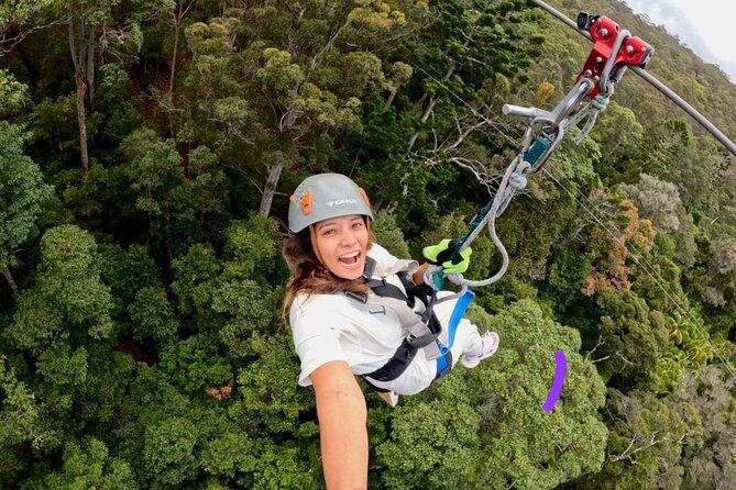 Gold Coast Canyon Flyer Zipline Tour - Starting at TreeTop Challenge Mount Tamborine