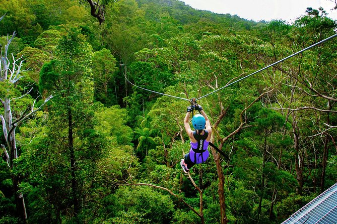 Gold Coast Canyon Flyer Zipline Tour - Crossing two plank bridges