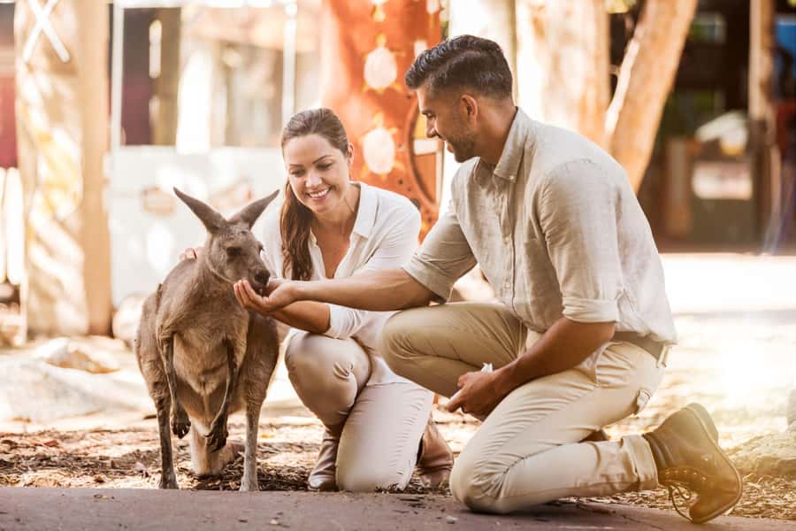 Gold Coast: Dreamworld 1-Day Entry Ticket - A full day at Dreamworld on the Gold Coast