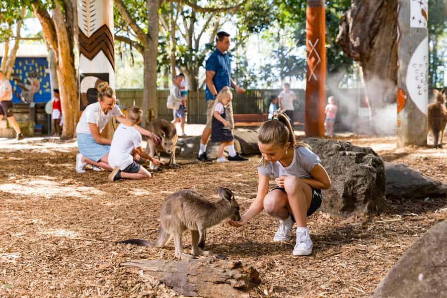 Gold Coast: Dreamworld & SkyPoint 2-Day Ticket - Why the pairing works better than a theme park ticket alone
