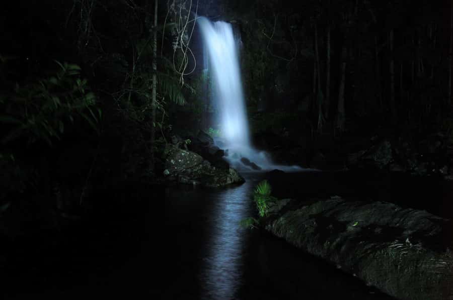 Gold Coast: Evening Rainforest and Glow Worm Experience - Cake, hot chocolate and a view from the mountain