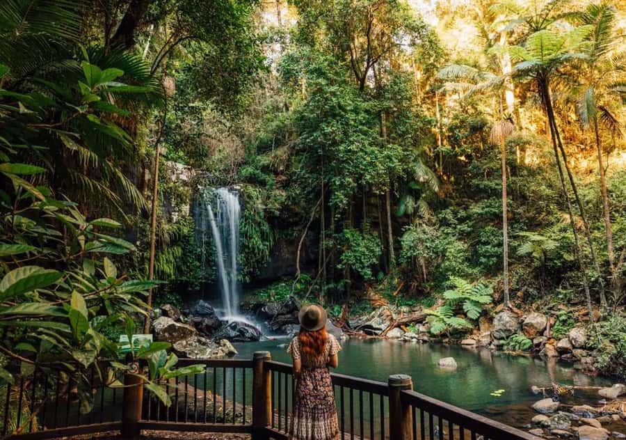 Gold Coast: Hop on Hop off Bus to Tamborine Mountain - Why Tamborine Mountain makes a good Gold Coast day out