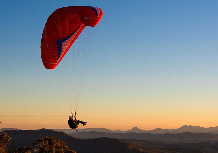 Gold Coast: Hop on Hop off Bus to Tamborine Mountain - Coffee, gardens, shopping, and local character