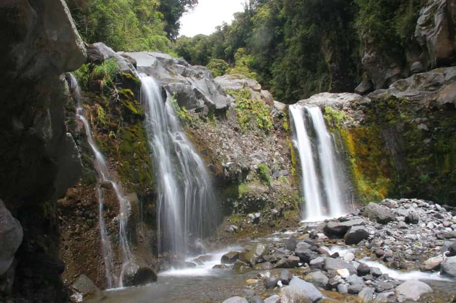 Gold Coast: Hop on Hop off Bus to Tamborine Mountain - Building a wine and spirits day