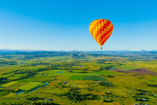 Gold Coast Hot Air Balloon + Winery Breakfast + Return Transfers - Landing and helping pack away the balloon