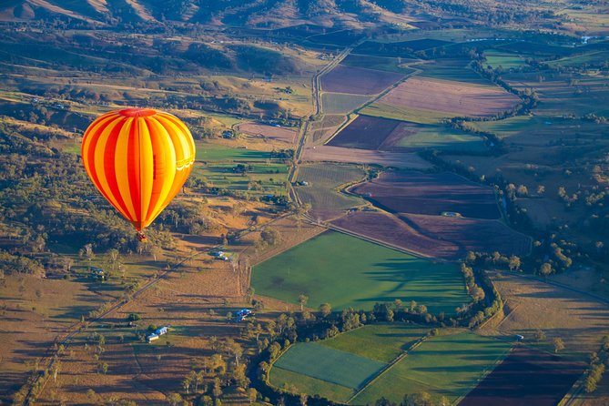 Gold Coast Hot Air Balloon + Winery Breakfast + Return Transfers - Cellar-door tasting and estate time