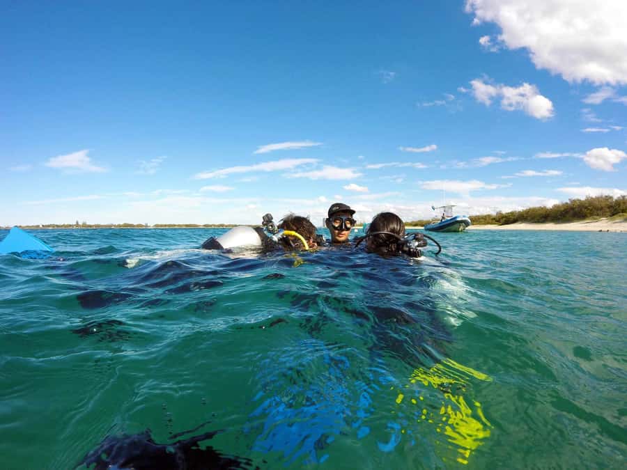 Gold Coast: Introductory SCUBA Diving Experience - What happens after the main underwater session