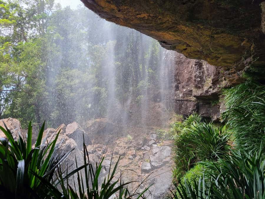 Gold Coast: Kangaroos, Rainforest & Waterfalls Experience - A home-cooked lunch beside the falls