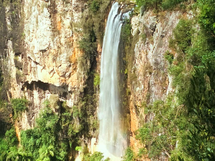 Gold Coast: Kangaroos, Rainforest & Waterfalls Experience - Guides, group style, and the pace of the day