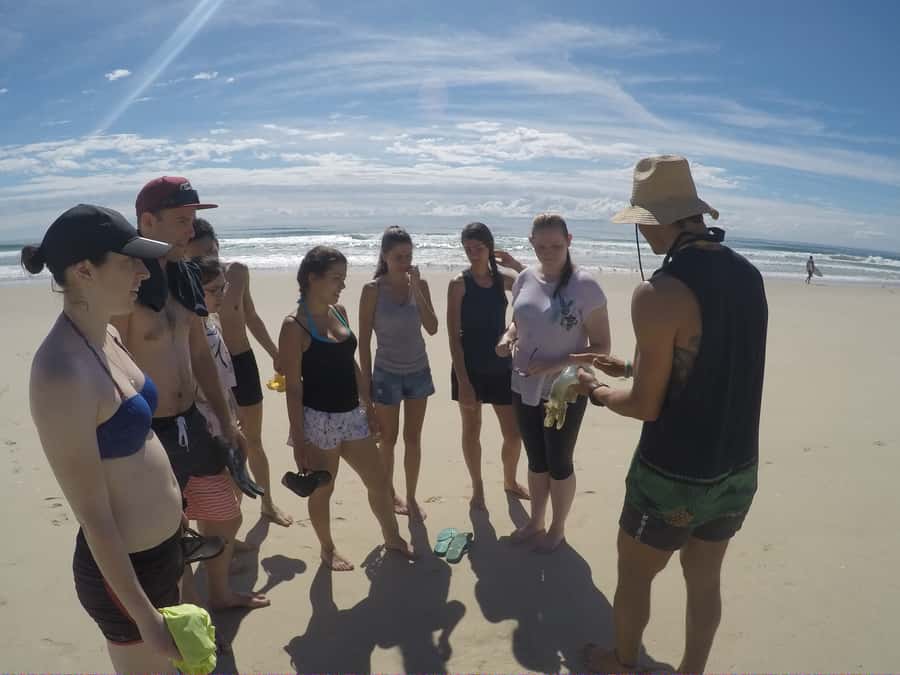 Gold Coast: Kayaking and Snorkeling Guided Tour - Preparing for a rain-or-shine outing