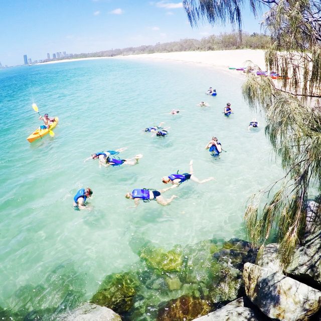 Gold Coast: Kayaking and Snorkeling Guided Tour - Booking, cancellation, and timing