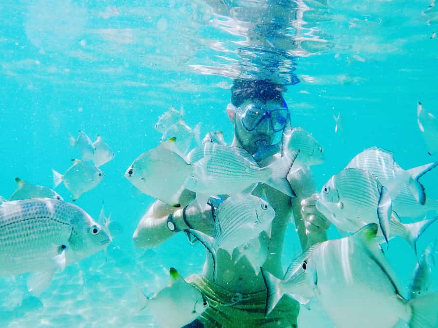 Gold Coast: Kayaking and Snorkeling Guided Tour - Arriving at Wavebreak Island