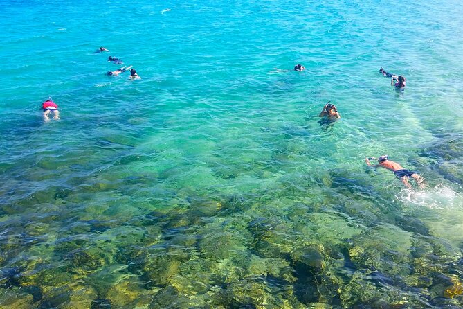 Gold Coast Kayaking & Snorkelling Tour (2.5 Hours) - Key points at a glance