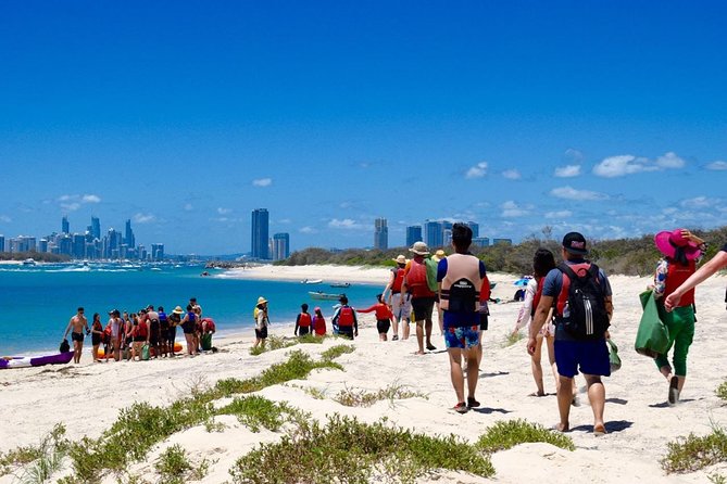 Gold Coast Kayaking & Snorkelling Tour (2.5 Hours) - Snorkeling conditions at Wave Break Island
