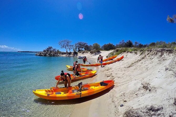 Gold Coast Kayaking & Snorkelling Tour (2.5 Hours) - Is $63.91 good value for 2.5 hours?