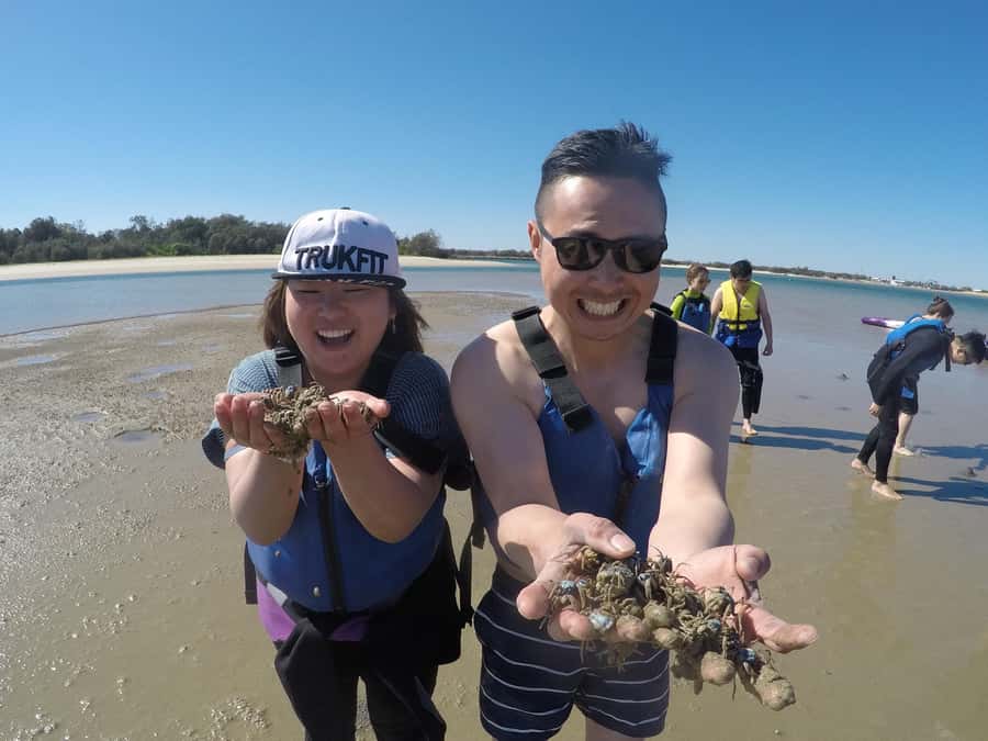 Gold Coast: Kayaking & Snorkelling Tour with Fish Feeding - How the $63 price compares