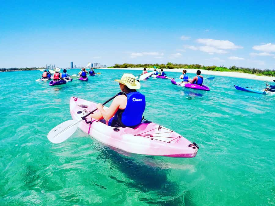 Gold Coast: Kayaking & Snorkelling Tour with Fish Feeding - Learning the basics in a stable double kayak