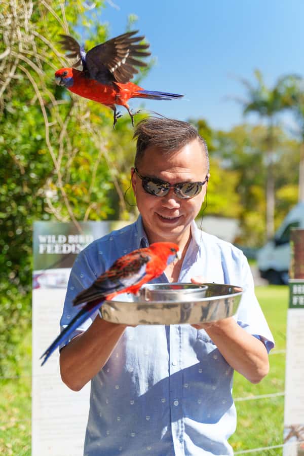 Gold Coast: Lamington Treetops, Wildlife and Vineyard Visit - The treetop canopy walk at O’Reilly’s