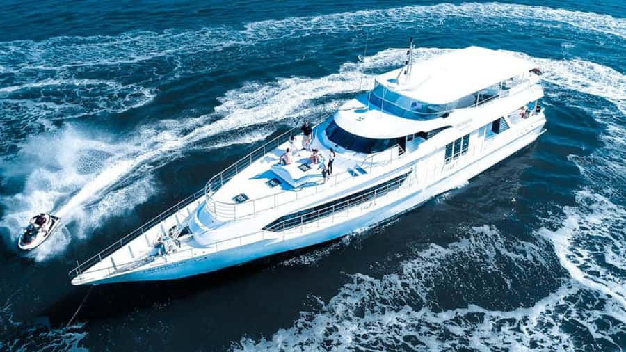 Gold Coast: Luxury Whale Watching Tour - Key points to know before booking