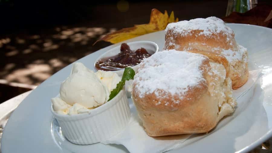 Gold Coast: Mount Tamborine Kangaroo and Koala Day Tour - Guides, vehicles, and pickup details