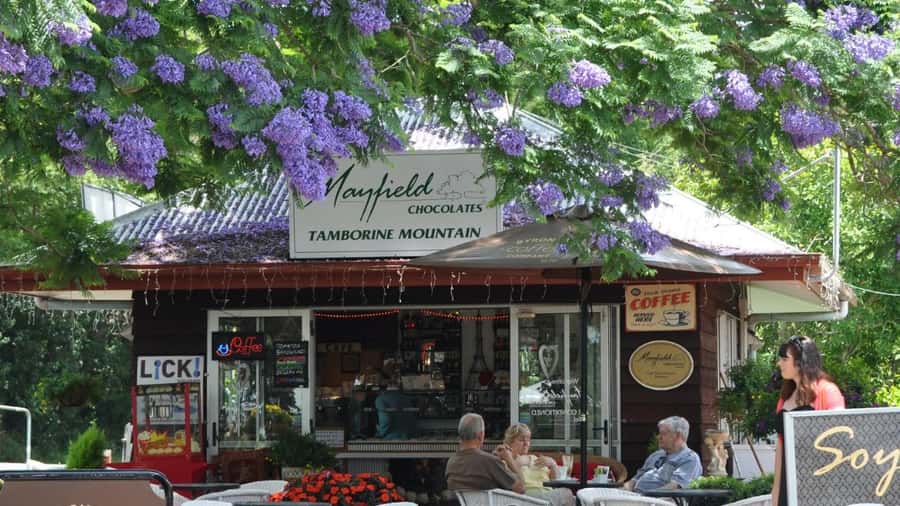 Gold Coast: Mount Tamborine Kangaroo and Koala Day Tour - Final verdict: a varied and good-value hinterland morning