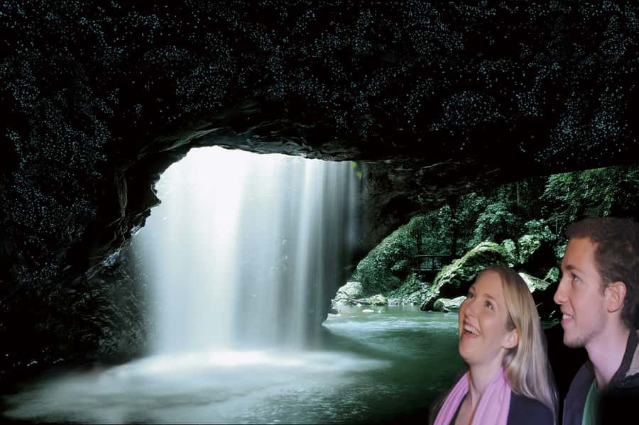 Gold Coast: Natural Bridge Glow Worm Night Tour - Key points about the Natural Bridge night tour