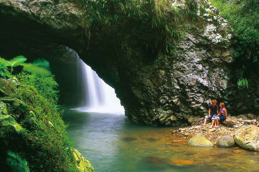 Gold Coast: Natural Bridge Glow Worm Night Tour - Walking through Springbrook after dark