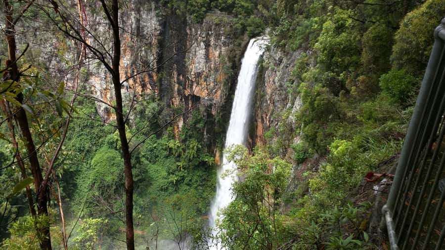 Gold Coast: Natural Bridge & Springbrook Waterfalls Tour - Key points to know before booking