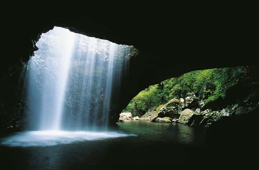 Gold Coast: Natural Bridge & Springbrook Waterfalls Tour - From Surfers Paradise to the Numinbah Valley