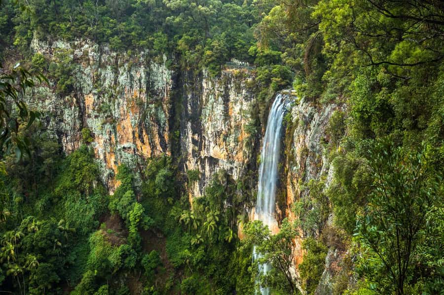 Gold Coast: Natural Bridge & Springbrook Waterfalls Tour - Natural Bridge puts the waterfall inside the forest