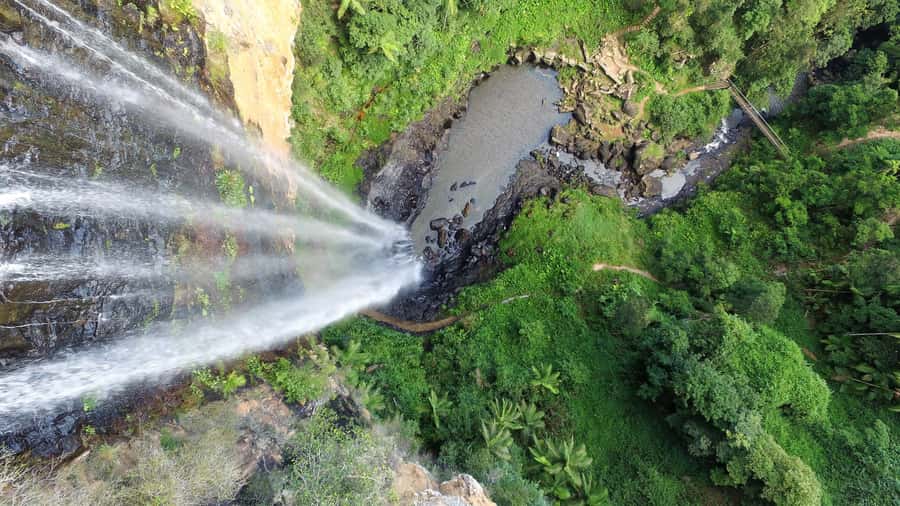 Gold Coast: Natural Bridge & Springbrook Waterfalls Tour - Best of All Lookout earns its grand name