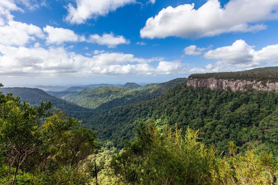 Gold Coast: Natural Bridge & Springbrook Waterfalls Tour - The guides shape the whole day