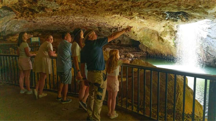 Gold Coast: Natural Bridge & Springbrook Waterfalls Tour - How much walking should you expect?