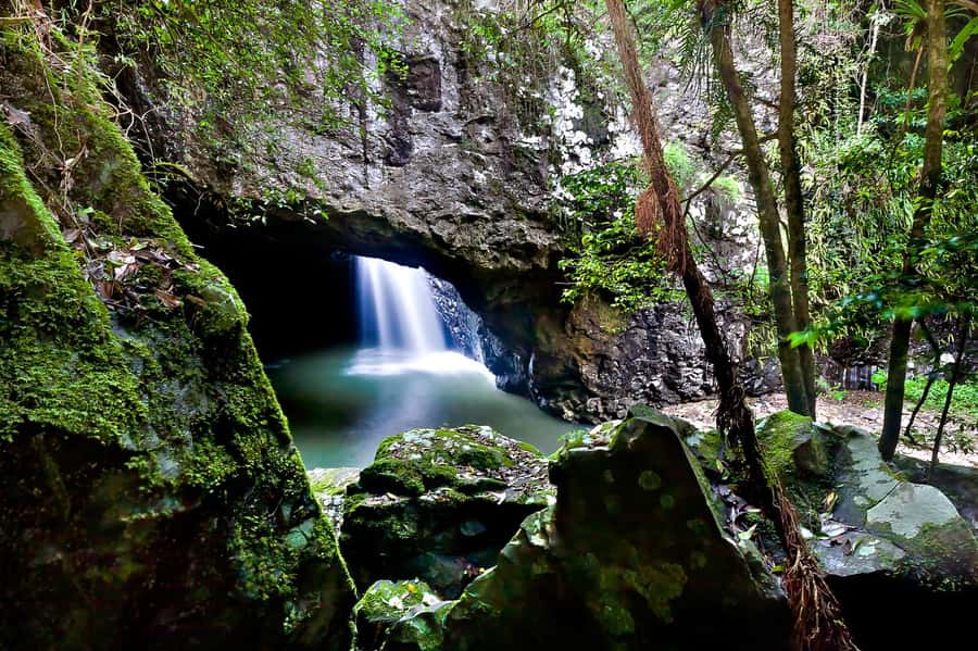 Gold Coast: Natural Bridge & Springbrook Waterfalls Tour - Is $84 a fair price?
